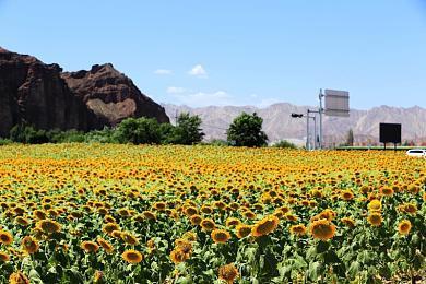 《夏洛克·福尔摩斯：第一章》预告之战斗篇